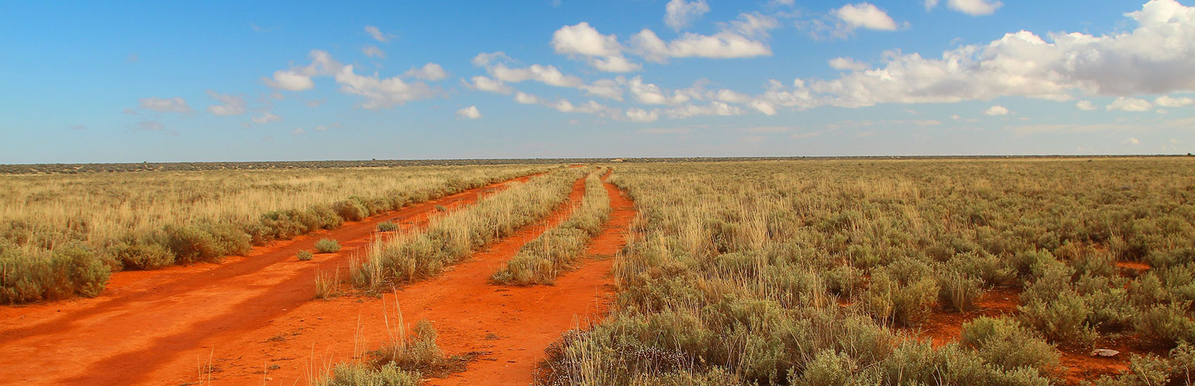 Vineyards, Wildlife, and Coastal Bliss: South & West Australia 4