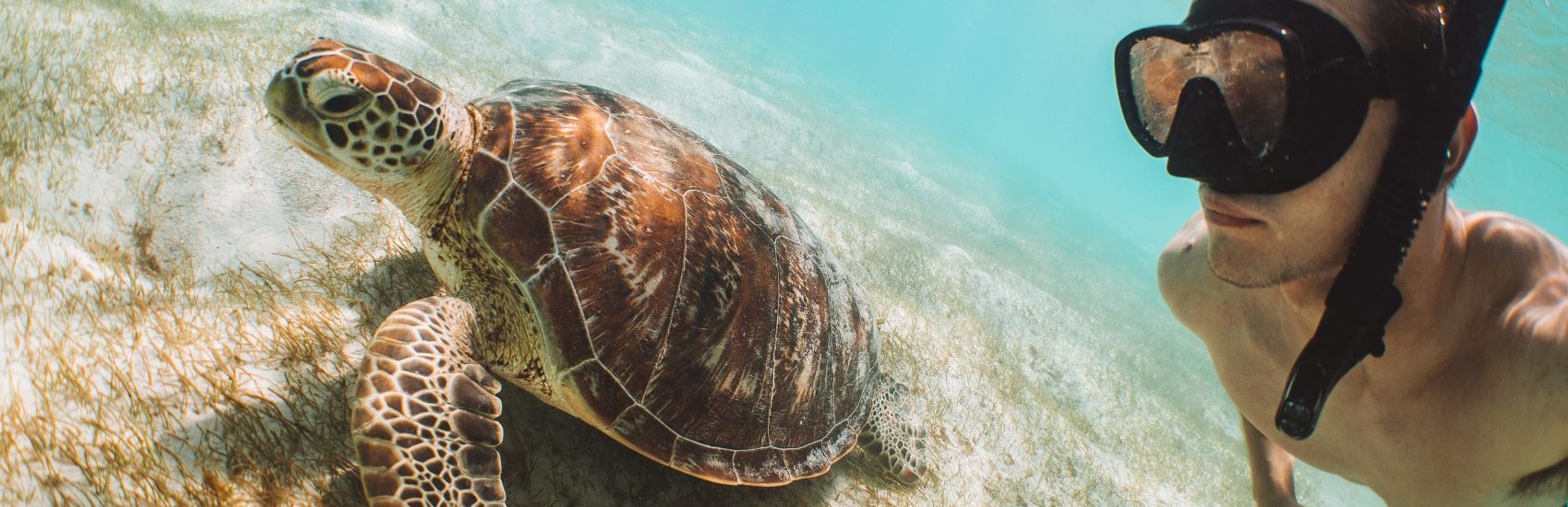 Wild at Heart: Australia’s Most Unique Wildlife Encounters 2