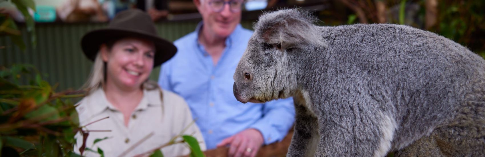Wild at Heart: Australia’s Most Unique Wildlife Encounters 1