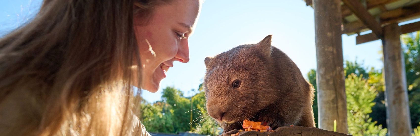 Creatures & Curiosities: New South Wales’ Wildest Encounters