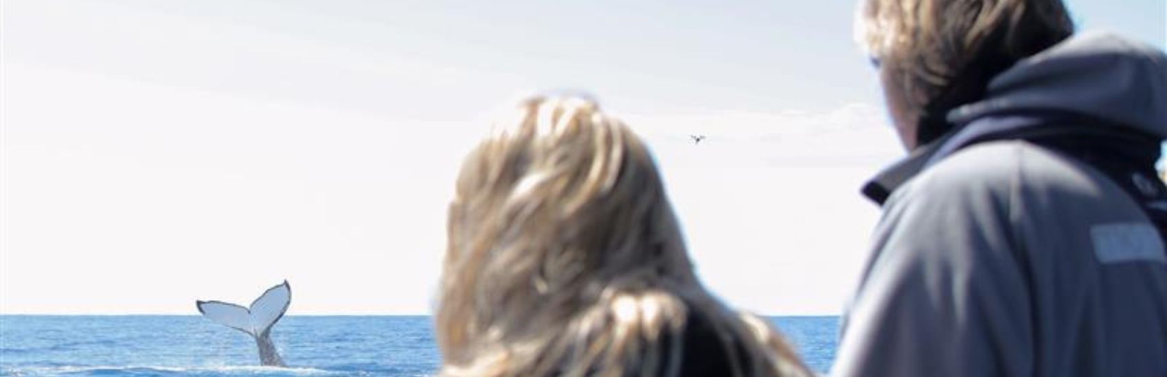 Creatures & Curiosities: New South Wales’ Wildest Encounters 2