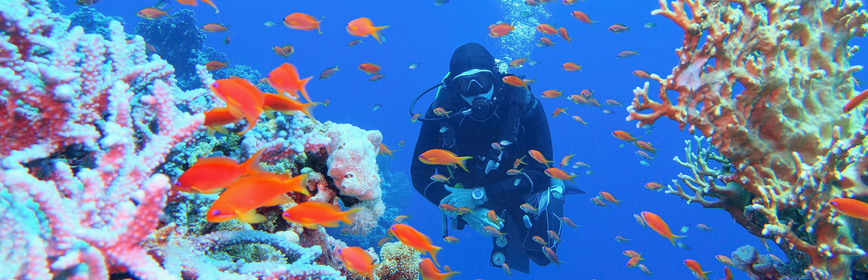 Noosa & Hamilton Island Escape: Sunshine Coast & Whitsundays 4