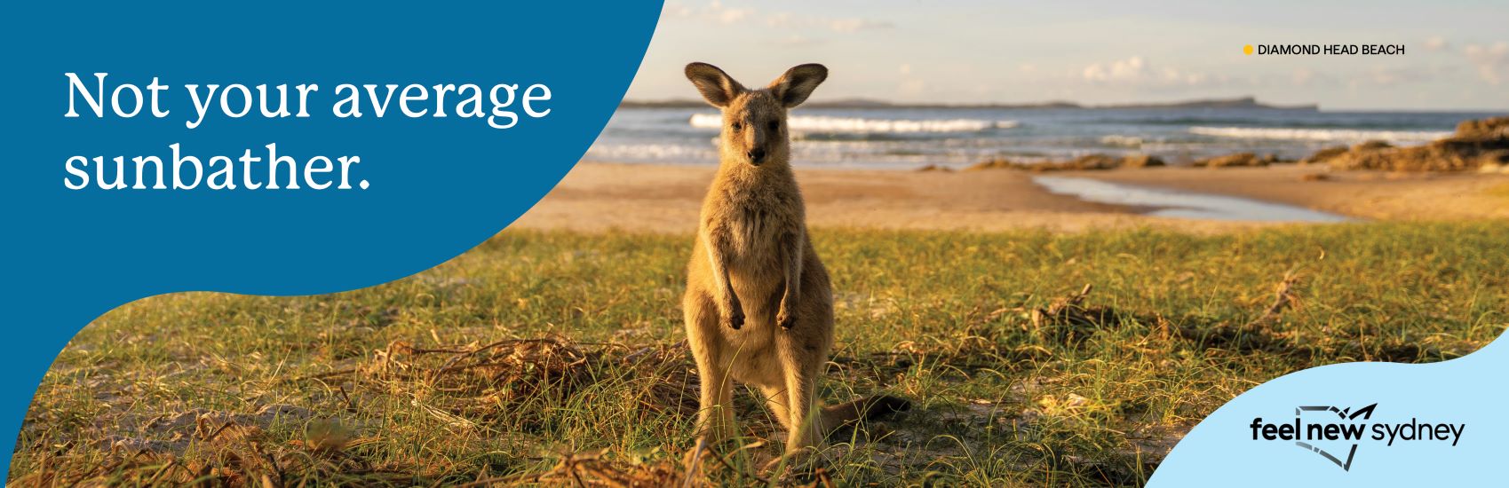 Beyond the Shore: Unforgettable Adventures with Celebrity Cruises