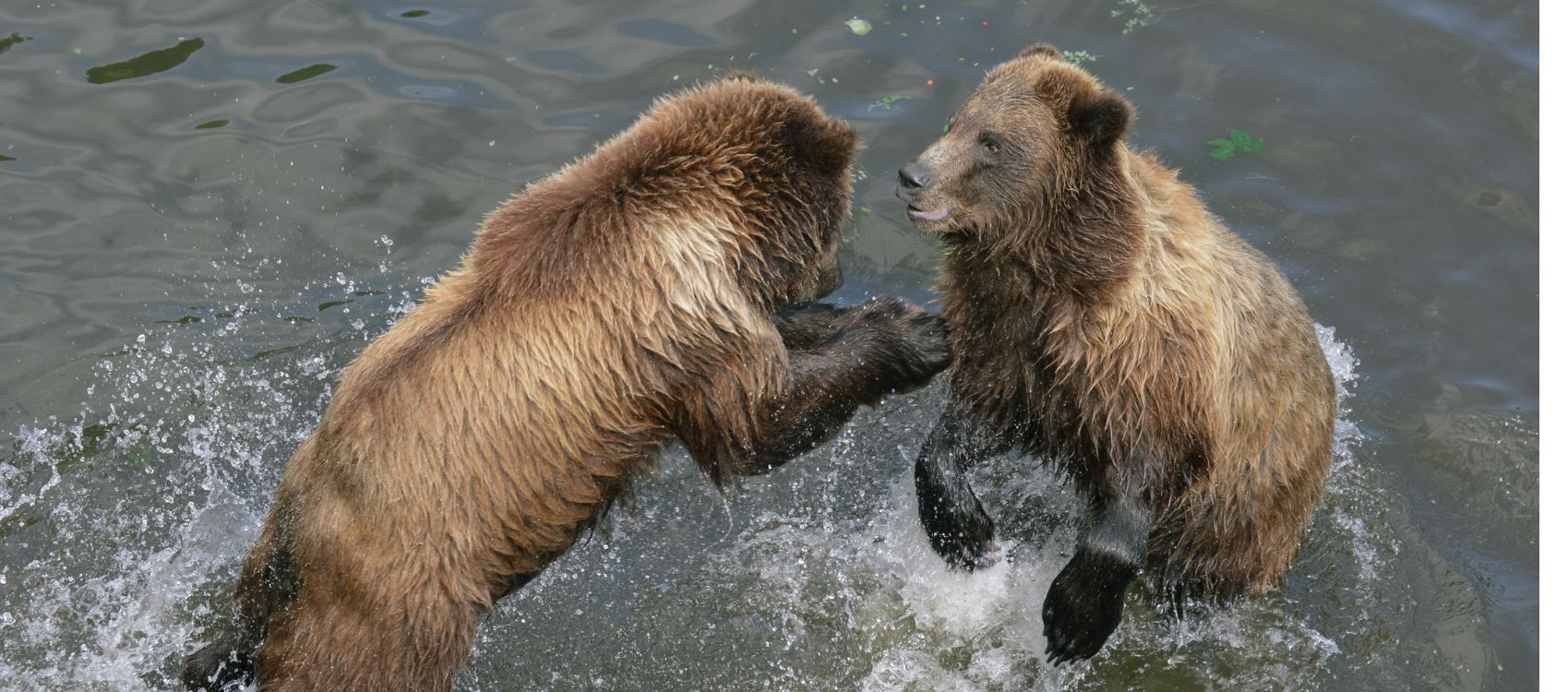 Explore the World with Azamara: Europe, Alaska, Transpacific & Japan 3