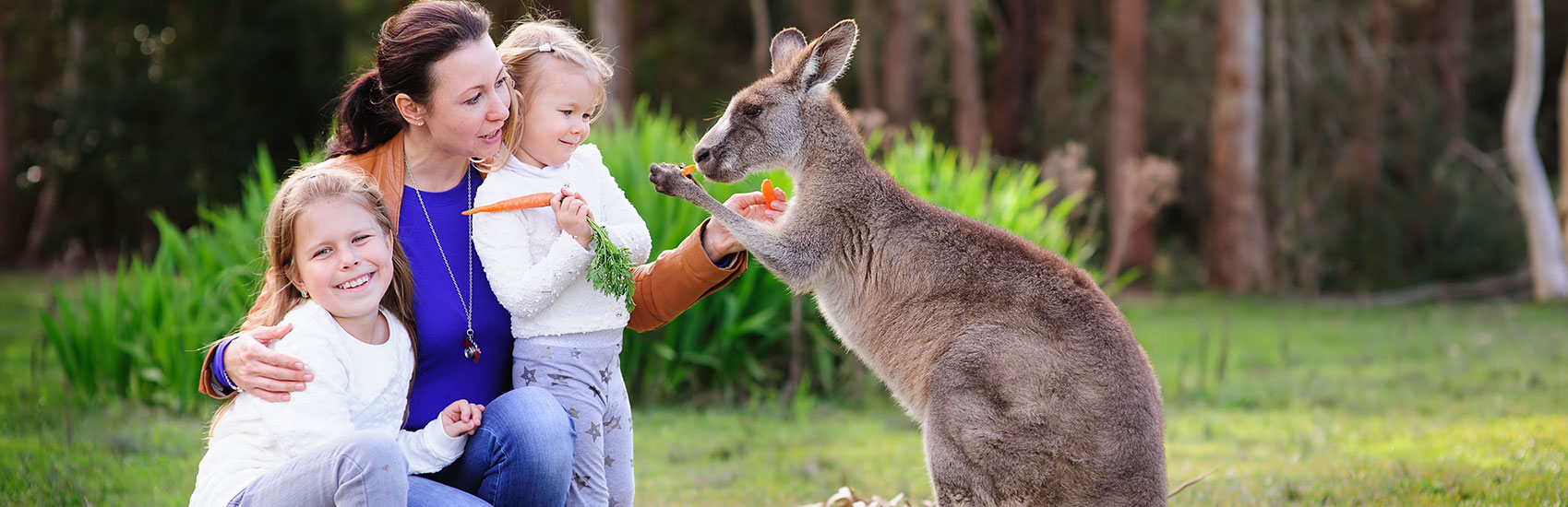 Australia's Ultimate Journey: From the Blue Mountains to the Great Barrier Reef 4