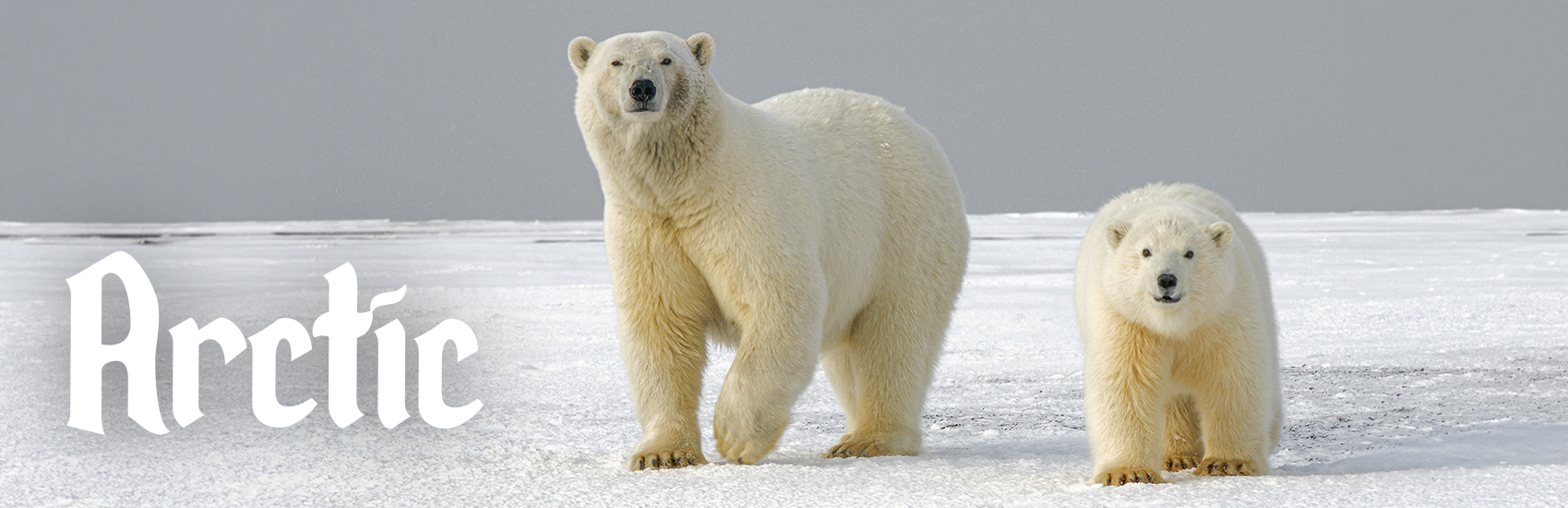 Up to 75% Savings with Celebrity Cruises