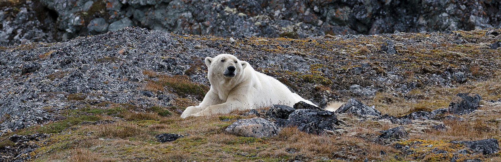 Indulge in Luxury and Save with Silversea 2