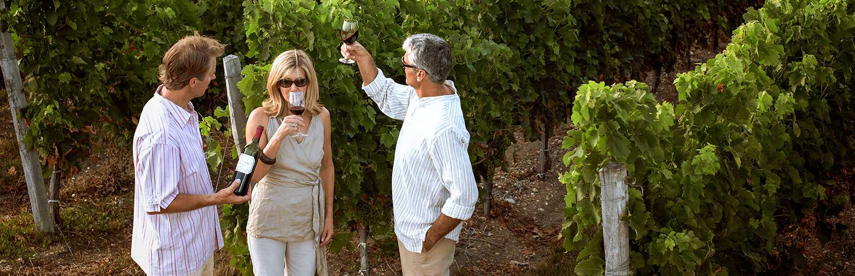 AmaWaterways’ Specialty Cruises: Immersive Onboard Experiences Crafted for You