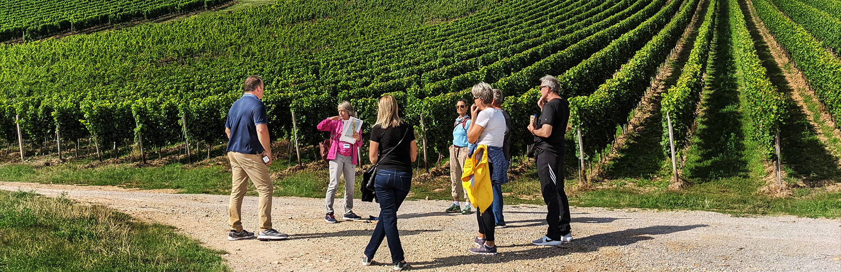 Extended Journeys with Explora Journeys