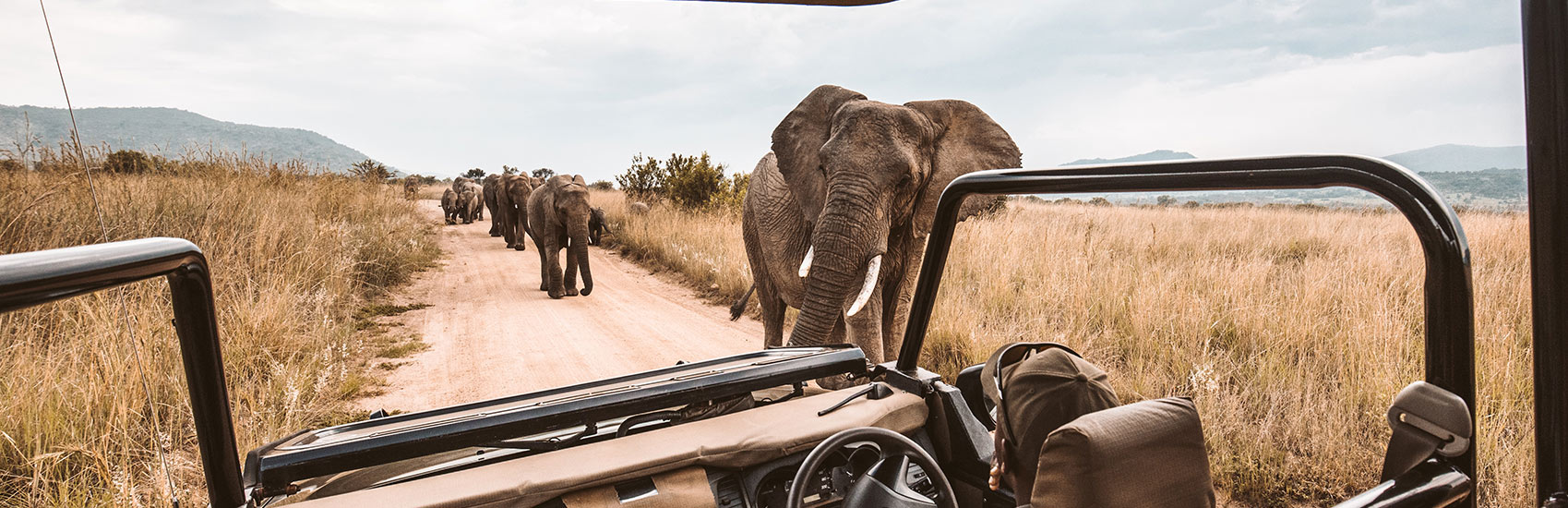 Save on Expertly Crafted Tours with Collette 5