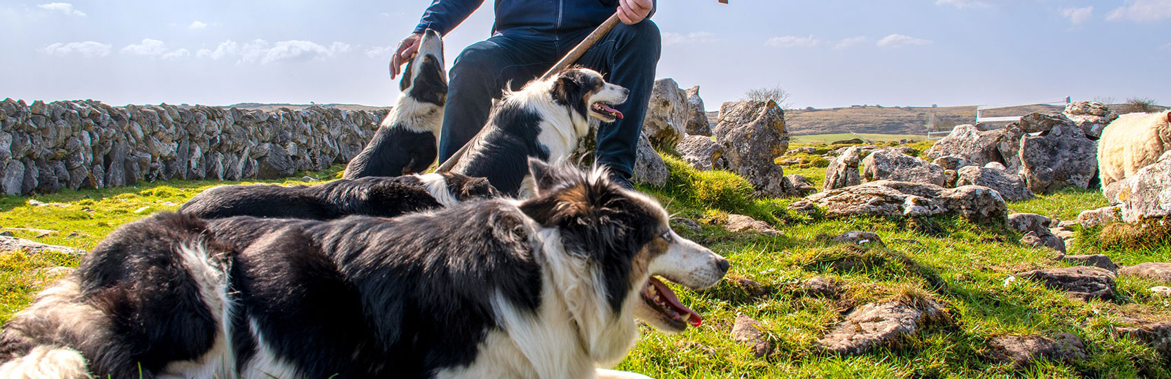 Save on Expertly Crafted Tours with Collette 1