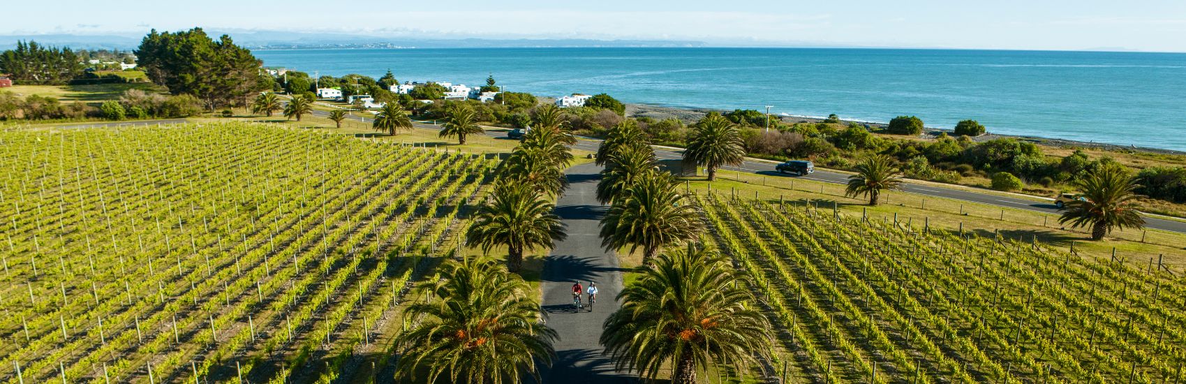 A Taste of Aotearoa New Zealand: Exploring the Country Through Food, Wine, and Local Stories 2
