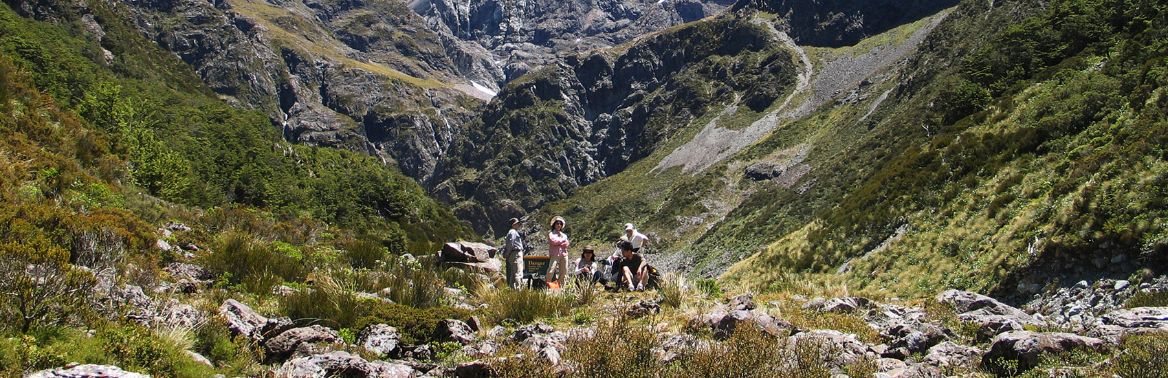 New Zealand Food & Wine Journey: Culinary Treasures from Coast to Alps 3