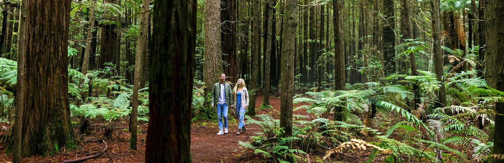 New Zealand Active Adventure: From Geothermal Wonders to Alpine Peaks 2