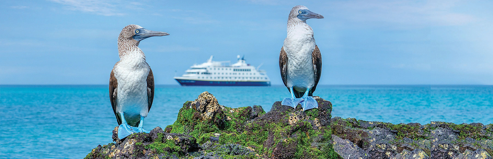 The Galápagos, As Few Will Ever Experience It 3