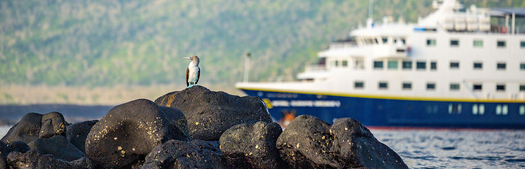 The Galápagos, As Few Will Ever Experience It