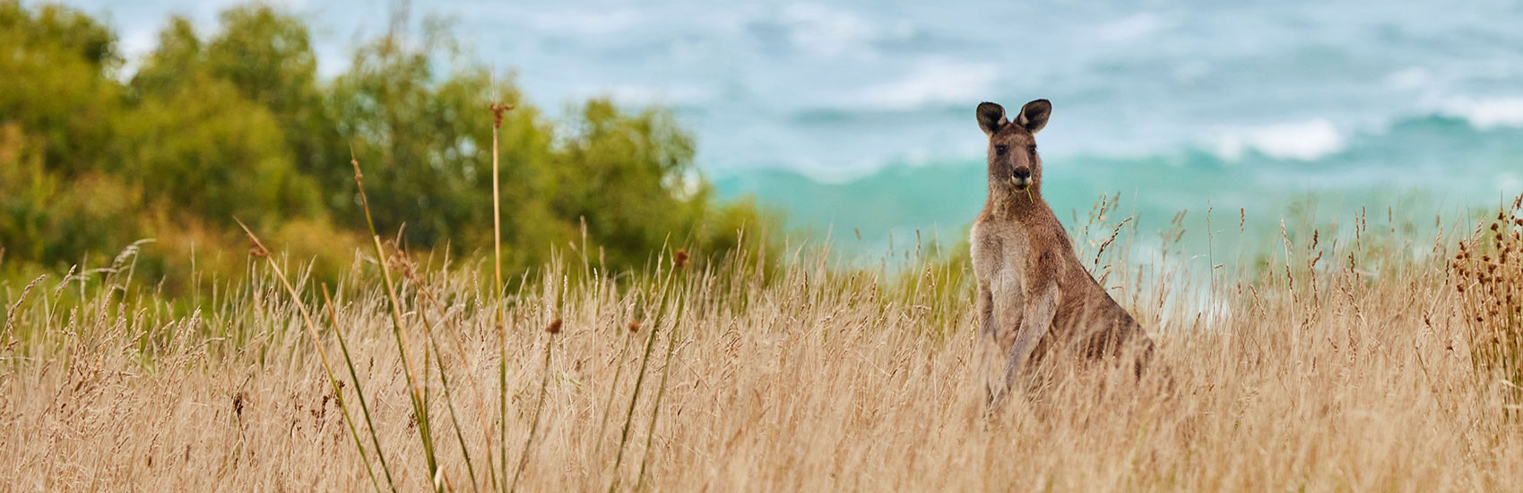 Adventurous Victoria Awaits with Intrepid Travel 4