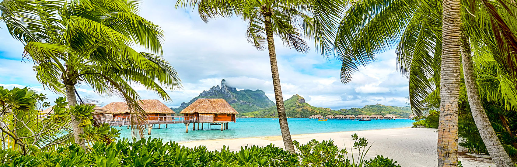 Explore The World Aboard Viking 1