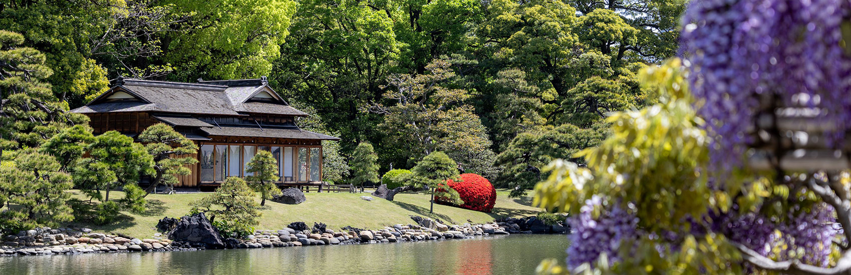 Unmatched Discovery with Silversea 1