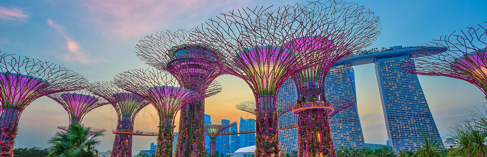 Start Your Journey with Holland America 3