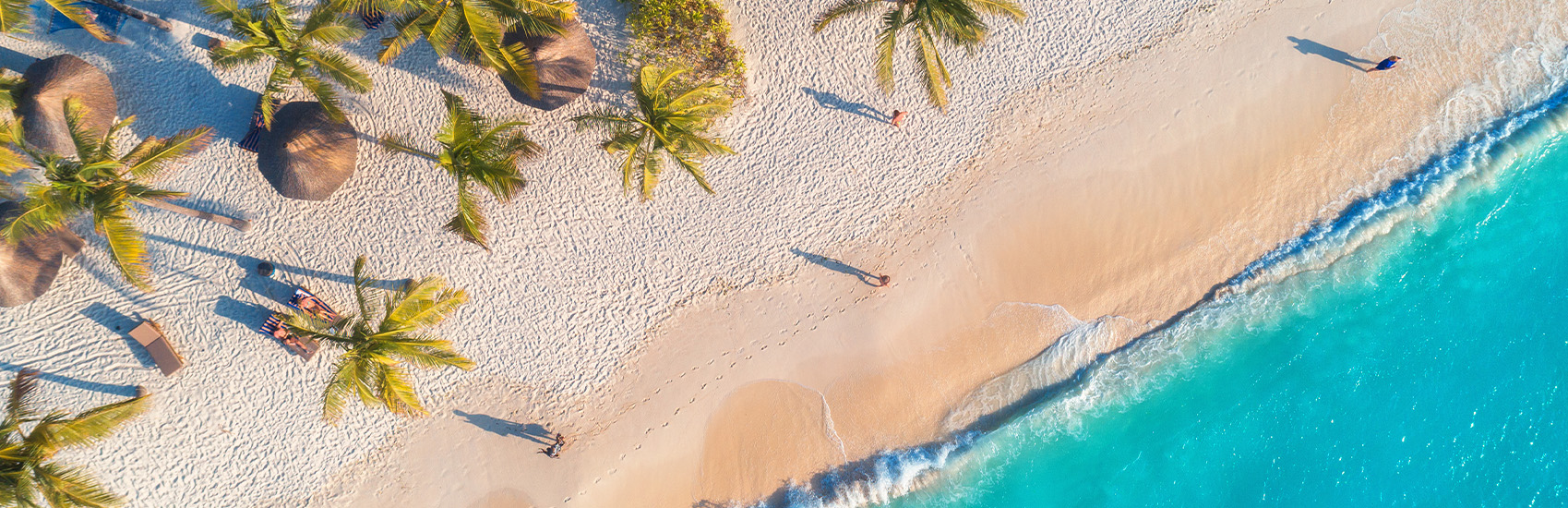 Winter Savings with Transat