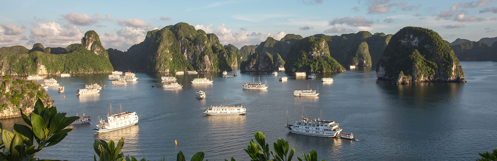 New Year Sale With Intrepid