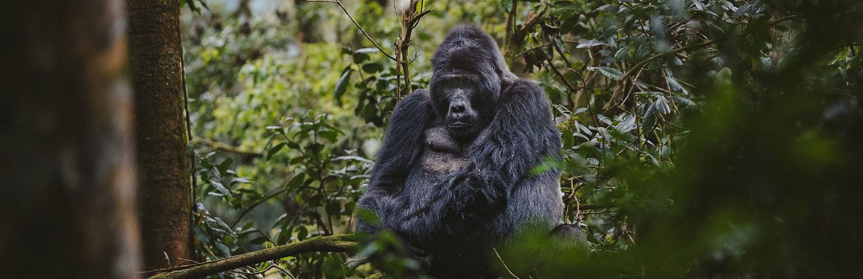 The A&K WorldWide Sale 0