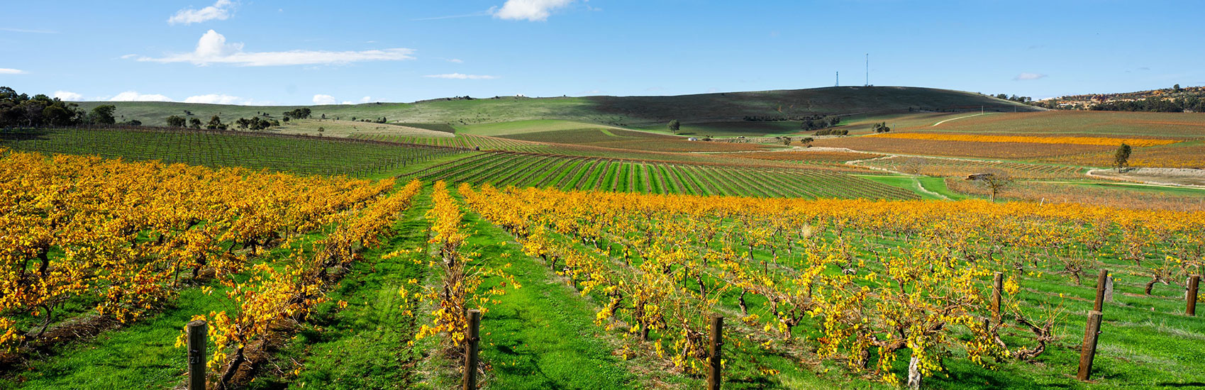 South Australia Adventures with Intrepid Travel 1