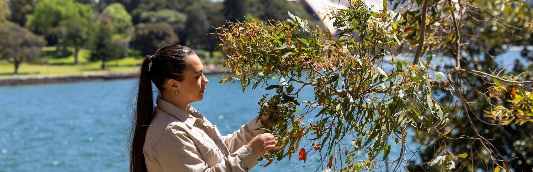 Explore five extraordinary Aboriginal travel experiences in Australia 0