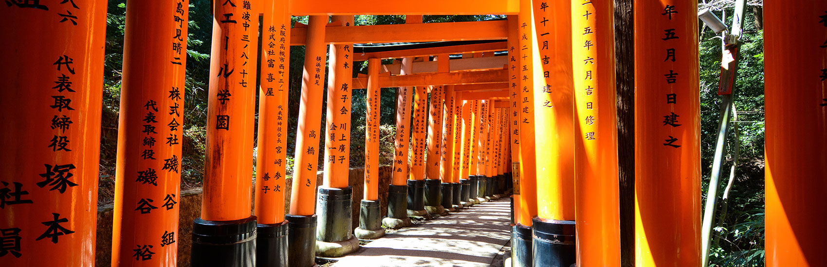 3 Impactful Moments in Japan with Collette 0