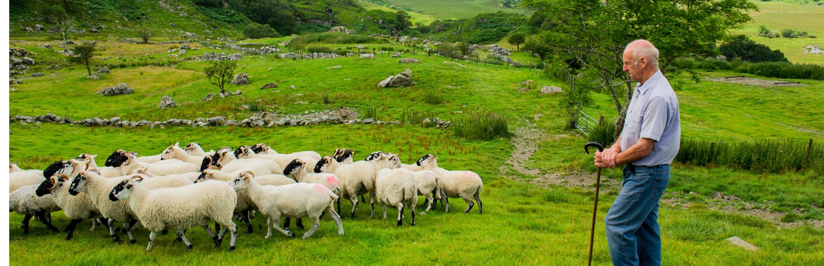 Travel Your Way: CIE Tours’ Unique Travel Styles 4