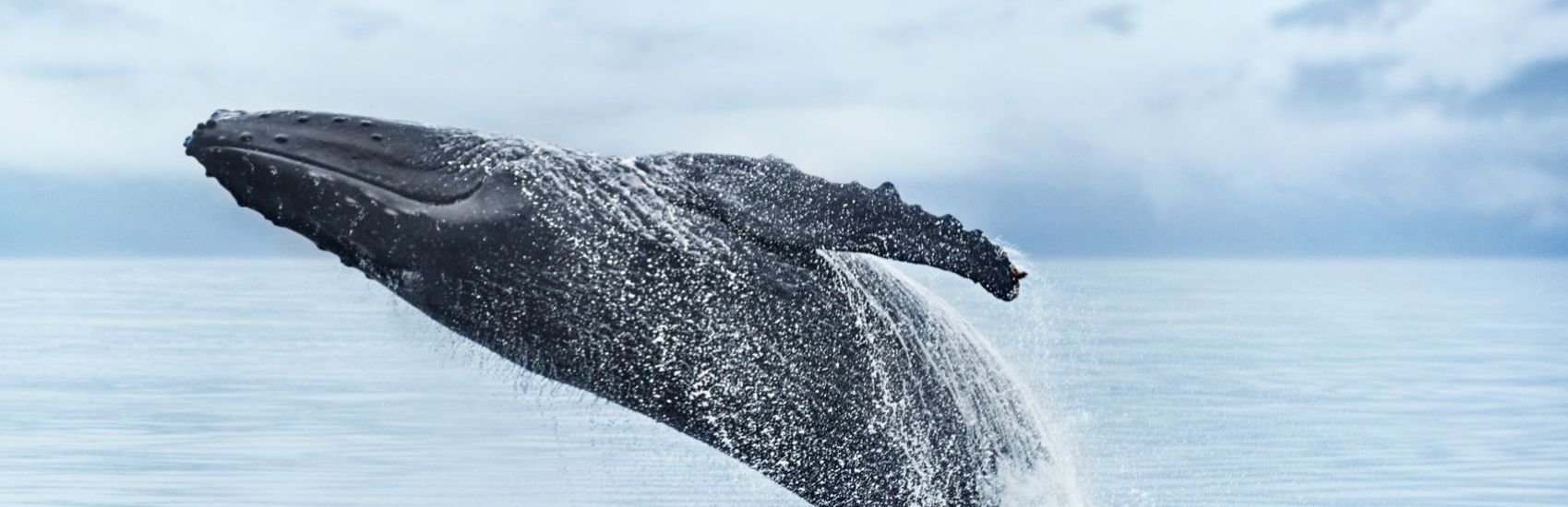 Alaska with Princess Cruises 1