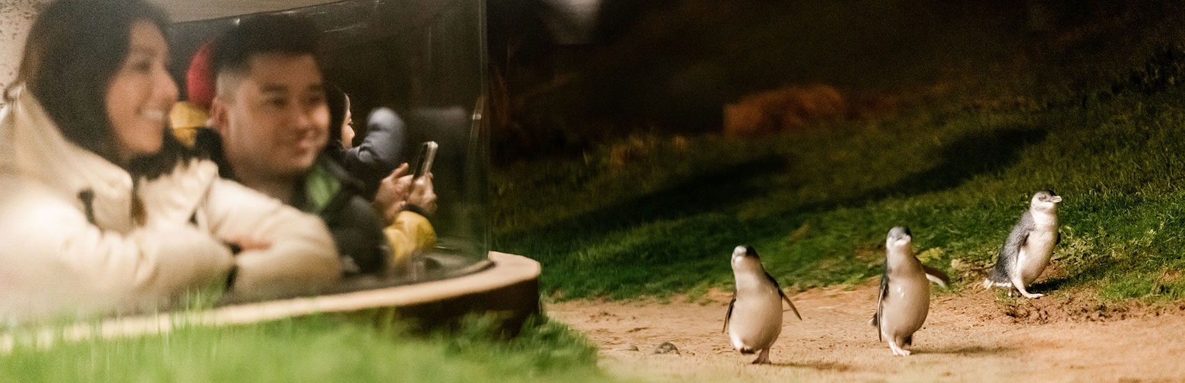 Go Guided and Explore Australia with Globus 4