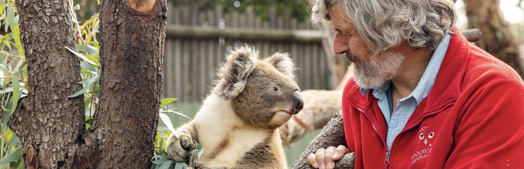 Where the Wild Things Wander: Wildlife Encounters in Victoria 2