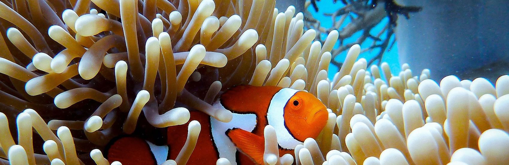 Save on Small Group Exploration Tours with Collette 0