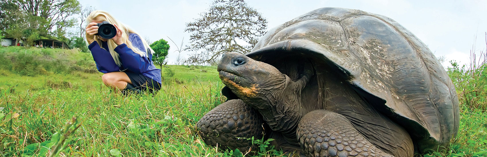 50% Reduced Deposit with<br>National Geographic-Lindblad Expeditions 3