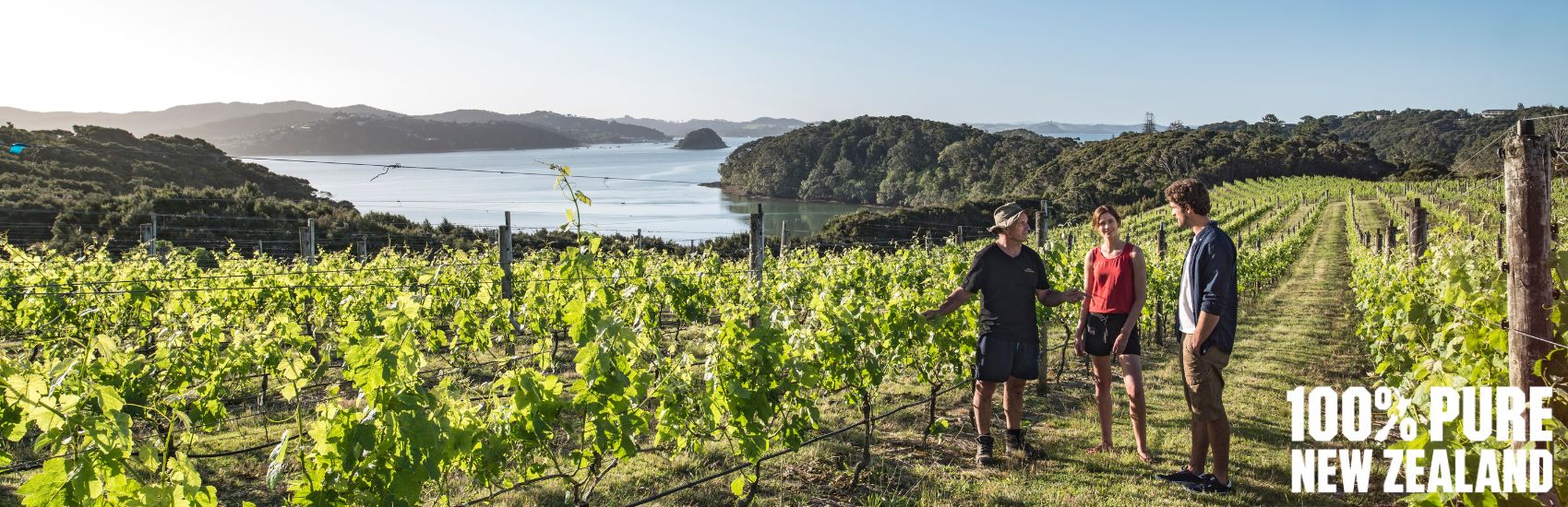 Aotearoa New Zealand: A Journey Through Food, Culture, and Connection