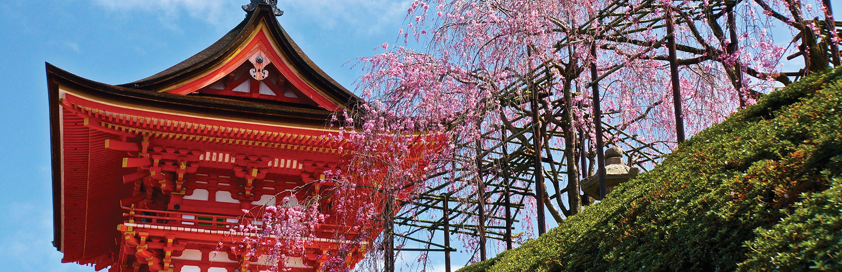 Discover A Taste of Japan & South Korea with Tauck 2
