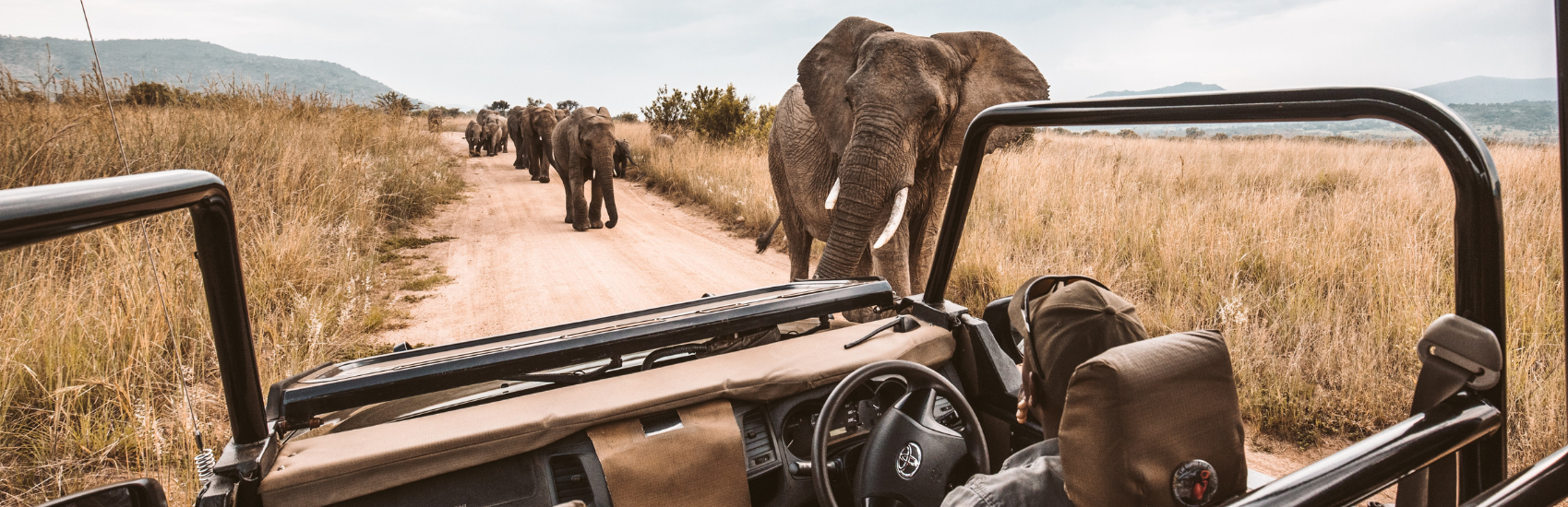 Beyond the Bucket List: Traveling Through Culture & Connection