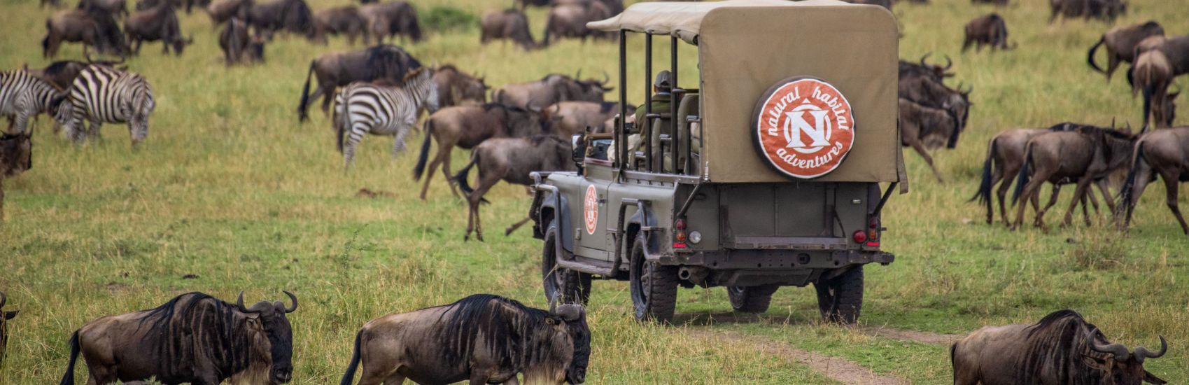 Natural Habitat Adventures: What Are Africa’s Wildlife “Big Five” and Where Can I See Them? 1