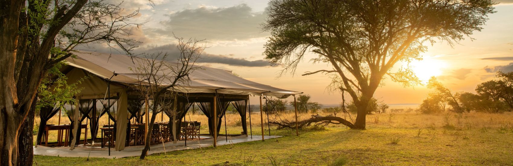Natural Habitat Adventures: What Are Africa’s Wildlife “Big Five” and Where Can I See Them? 4