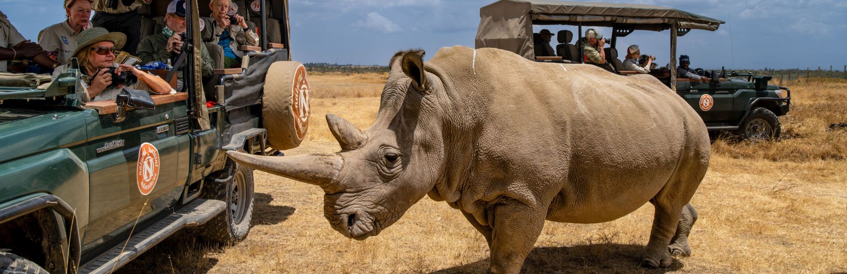 Natural Habitat Adventures: What Are Africa’s Wildlife “Big Five” and Where Can I See Them? 5