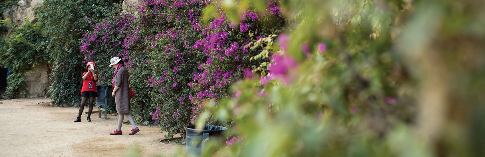 Elevate Your Experience with Regent Seven Seas 5