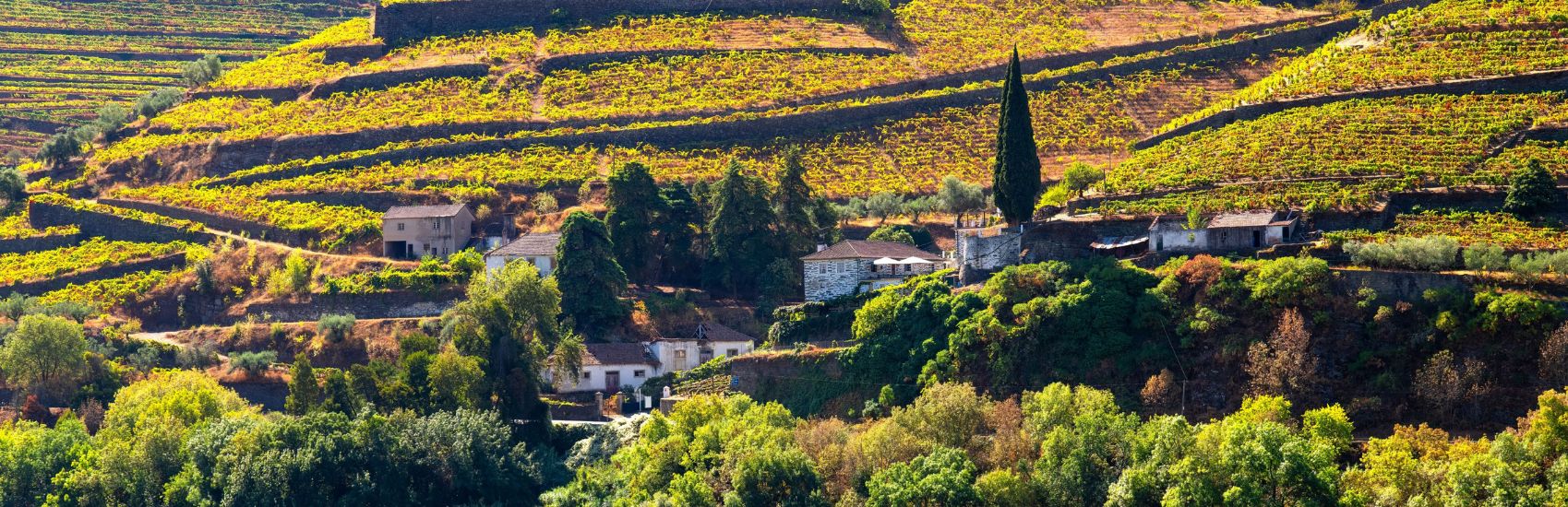 Travel to Portugal with Transat 4