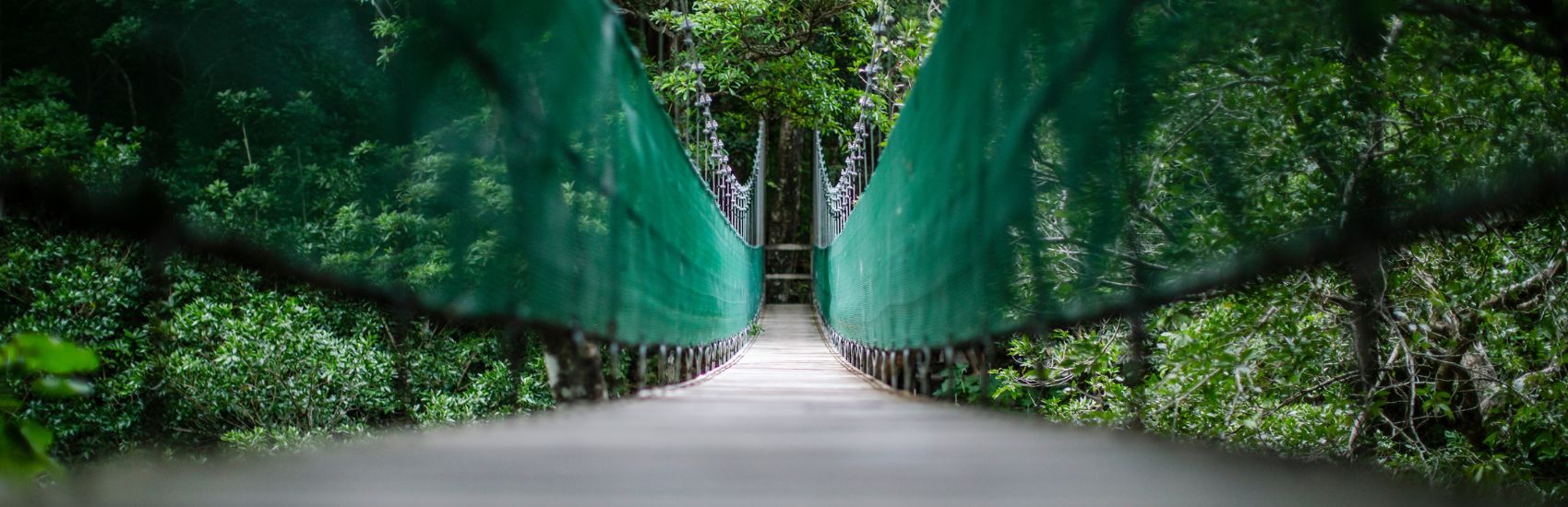 7 Epic Reasons to Explore South & Central America with G Adventures 3