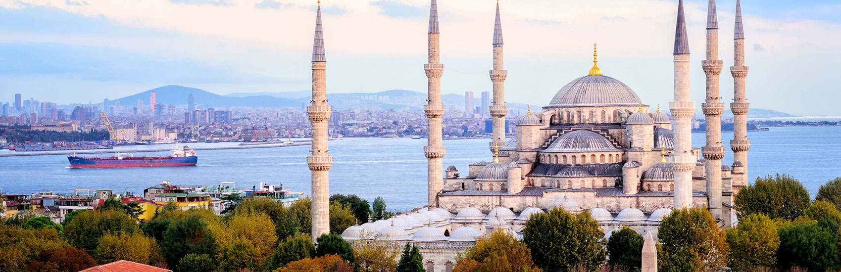 Anniversary Sale with Holland America 2