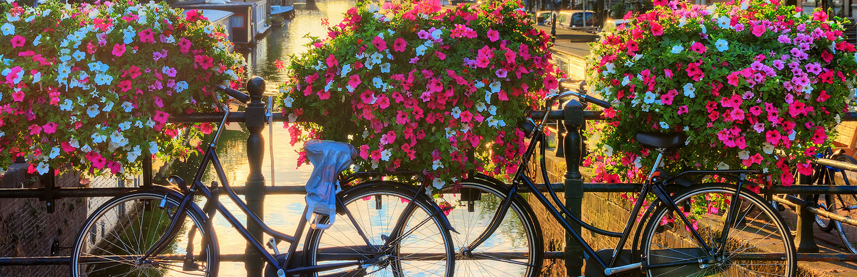 Sail into Spring Savings with Regent Seven Seas 1