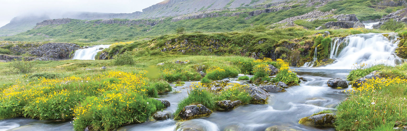 Explore the Arctic Together and Save with<br>National Geographic-Lindblad Expeditions 3
