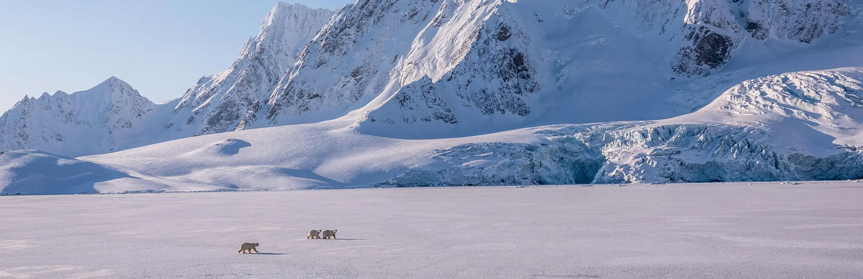 Explore the Arctic Together and Save with<br>National Geographic-Lindblad Expeditions 1