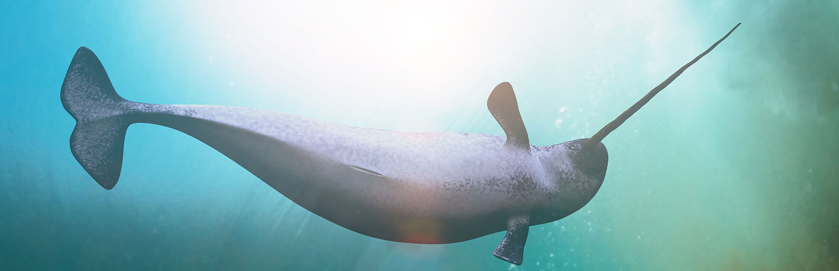 Up to 75% Savings with Celebrity Cruises